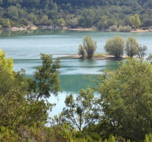 Tour ouest du Lac de Saint Cassien - Les Adrets-de-l'Estérel - 2
