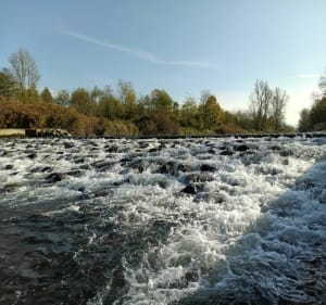 Sortie nature le long du Rhône - gaetan - 2