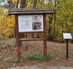 Park miejski w Toruniu - Toruń - 2