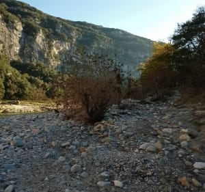 Découvrez les gorges de l'Ardèche - Labastide-de-Virac - 2