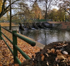 Park Miejski - Kalisz - 2