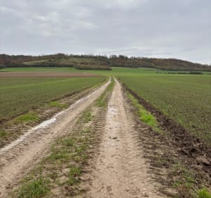 Boucle champêtre vers Journy et Quercamps - Quercamps - 2