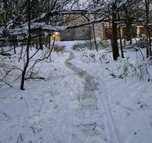 Jeziorko w zasięgu ręki - Bytom - 2