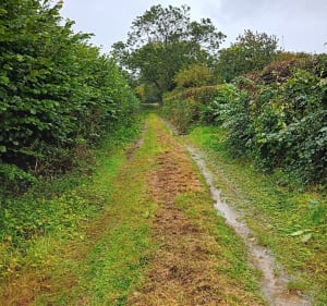 Rando bocagére autour de Teurthéville Bocage - Teurthéville-Bocage - 2