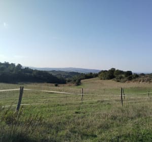 Le tour du Lauquet à partir de Leuc - YVON - 4