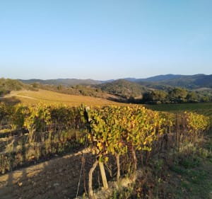 Le tour du Lauquet à partir de Leuc - Leuc - 2