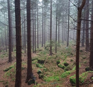 Pasterka i Czeska strona Gór Stołowych - Pasterka - 3