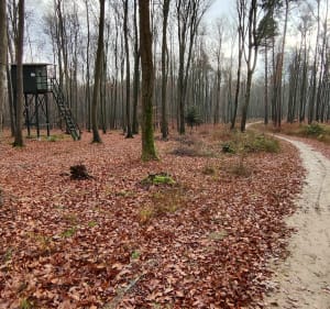Przyslasek wędrówka/spacer - Hermanowa - 2