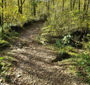 Villefranque et forêt depuis Ustaritz - Ustaritz - 2