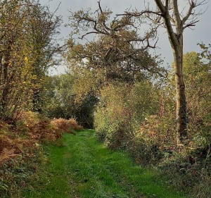 La vallée du Lozon par Village Marie - Florence - 5