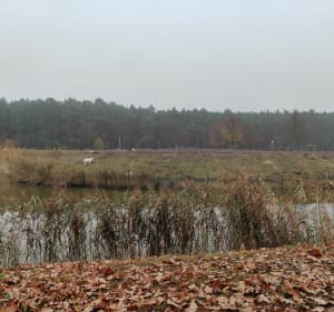 Ścieżka rowerową na plażę w Zbąszyniu - Zbąszynek - 2