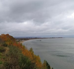 Okolice Pierwoszyna - Ryszard - 4