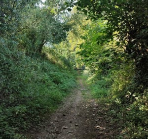 Les coteaux de la Biette - Ourton - 2