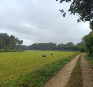 Boucle Sèvres, Bignoux et St Julien - Sèvres-Anxaumont - 2