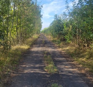 Boucle Piscenoise. chemin de la carrière. - Pézenas - 2