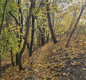 Spacer dookoła Fortu - Toruń - 2