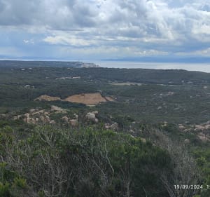 Vintilegni, entre maquis et littoral Corse de sud - bernard - 2