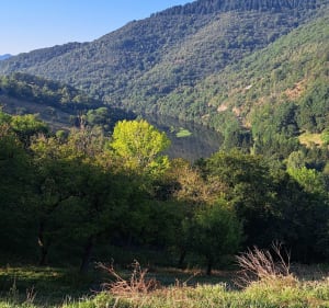 La Truyère et Ravin du Rasclet - Campouriez - 2