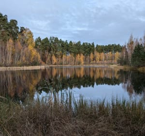 Natura 2000 Sztumskie Pole - Grzępa - 2