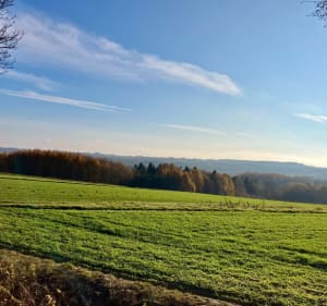 Wspinaczka na Globikową - Sędziszów Małopolski - 2