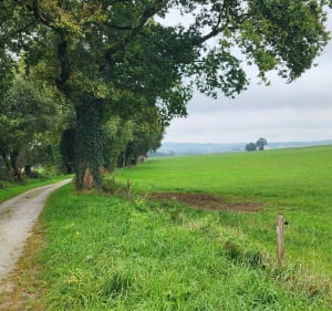 La voie verte de Saint-Guen à Coët - Guerlédan - 3