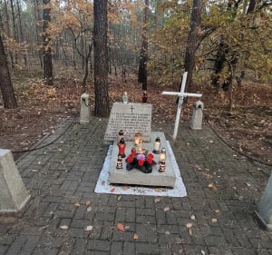 Po wydmach - Bydgoszcz - 2