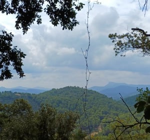 Sur les hauteurs de Puget-Ville - Puget-ville - 2
