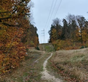 GraveLove18+ - Koszalin - 2