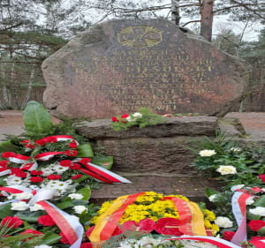 Las wzdłuż ul. Bronisława Czecha - Wesoła,  Wawer - Jarosław - 3
