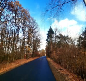 Gniezno - Czerniejewo - jeziora babskie - Gniezno - Sylwia - 4