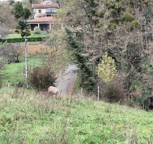 Point de vue Pyrénées vers Millorat - Abdelkader - 3