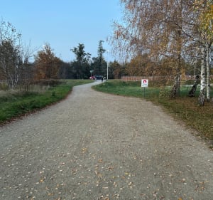 Wrocław Park Tysiącletnia do końca i z powrotem - Wrocław - 3