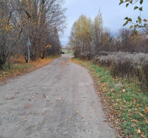 Rekreacyjna ścieżka szutrowa - Olsztyn - 2