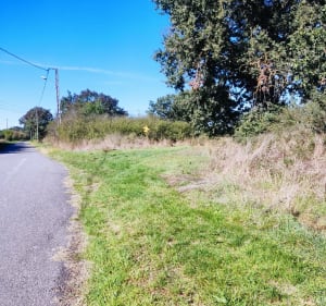 Autour de Colomiers, parc St-Jean - Colomiers - 2