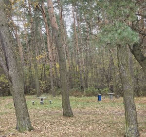 Miejsko-terenowy spacer do Koziego Borku w Ostrowie Wielkopo - Ostrów Wielkopolski - 2