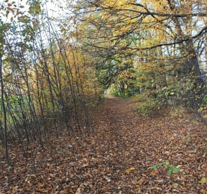 Osiedle Kopernika, Stare Bielsko (grodzisko) - Bielsko-Biała - 2