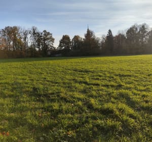 Osiedle Kopernika, Stare Bielsko (grodzisko) - Bartosz - 3