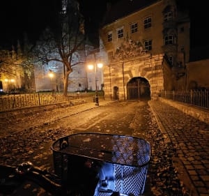 Stawy miejskie oraz zabytkowe budowle w Oleśnicy - Piotr - 2