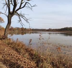 Szlakiem natura nazieleńce - Harmęże - 2