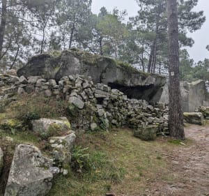 Promenade des gorges de franchard - Fontainebleau - 3