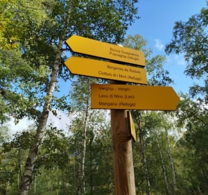 Les Bergeries de Radule - Albertacce - 2