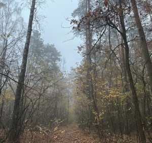 Słupno nad rzekę - Słupno - 2