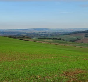 Randonnée à Saint Sérotin - Saint-Sérotin - 2