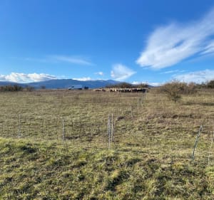 Le col de Neuland - Rouffach - 2