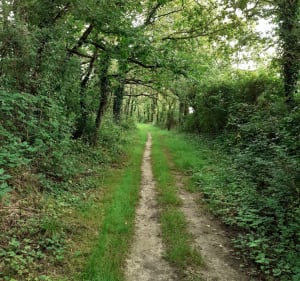 De la Gaub en passant par Les Landes Genusson - La Gaubretière - 2