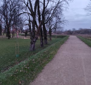 Park Radziwiłłów - Park Małpi Gaj - Stadion Miejski - Biała Podlaska - 2