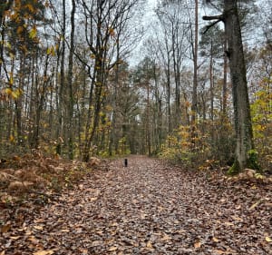 Autour de la vallée de l’homme mort - Vendôme - 2