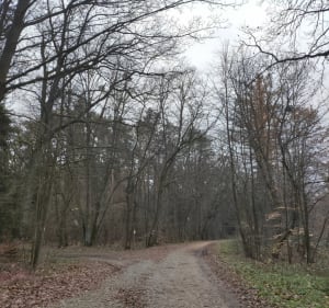 Las Mokrzański - Łukasz - 2