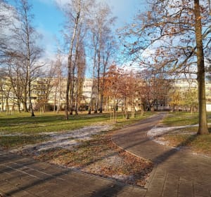 Park Kielecki i Park nad Jasieńcem - Łódź - 2