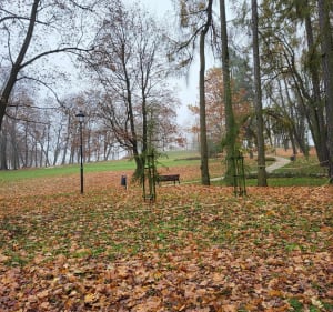 Park na Południu w Chrzanowie - Chrzanów - 2
